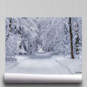 Fototapeta Zimowy krajobraz górski Drzewa w lesie lub parku pokryte szronem i śniegiem