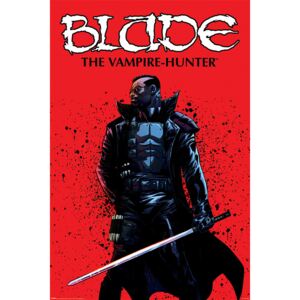 Plakat, Obraz Blade - The Vampire Hunter, (61 x 91,5 cm)