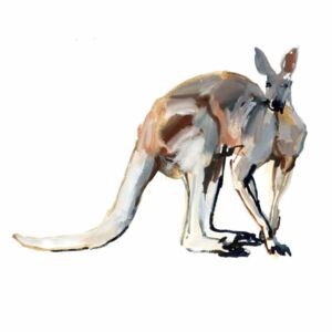 Adlington, Mark - Reprodukcja Roo Red Kangaroo 2012