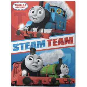 Obraz na płótnie Thomas Friends - Steam Team, (30 x 40 cm)