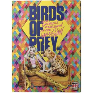 Obraz na płótnie Birds Of Prey i fantastyczna emancypacja pewnej Harley Quinn - Harley's Hyena, (60 x 80 cm)