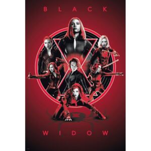 Plakat, Obraz Black Widow - Legacy, (61 x 91,5 cm)