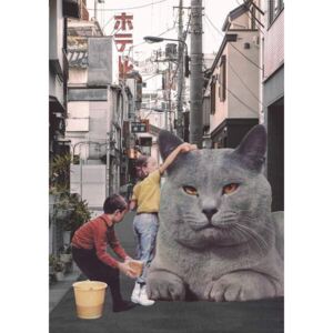 Bodart, Florent - Reprodukcja Children washing a giant Cat in Tokyo Streets