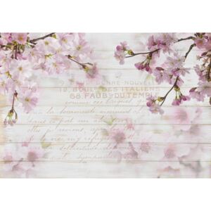 Vintage Chic Cherry Blossom Wood Planks Fototapeta, Tapeta, (254 x 184 cm)