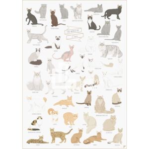 Plakat The World of Cats