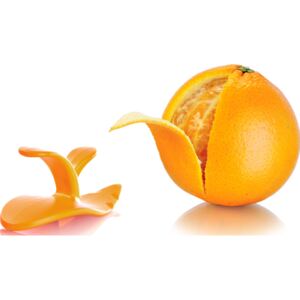 Obieraczka do cytrusów Tomorrows Kitchen pomarańczowa