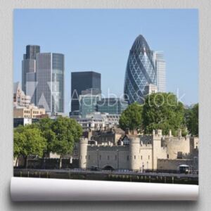 Fototapeta Gherkin and Tower of London