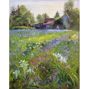 Reprodukcja Dwarf Irises and Cottage 1993, Timothy Easton