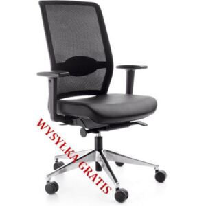 Fotel ergonomiczny Veris Net