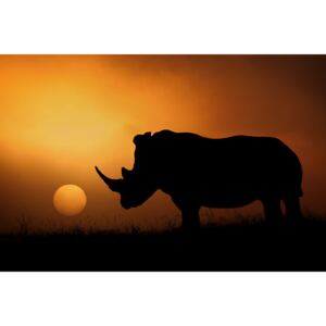 Fotografia artystyczna Rhino Sunrise, Mario Moreno