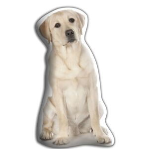 Poduszeczka Adorable Cushions Labrador retriever
