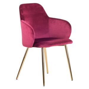 Krzesło Madryt Gold : Kolor - czerwony
