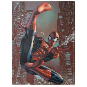Spiderman - Web-Sling Obraz na płótnie, (30 x 40 cm)