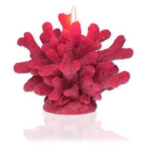 Świeczka dekoracyjna w kształcie koralowca Versa Coral