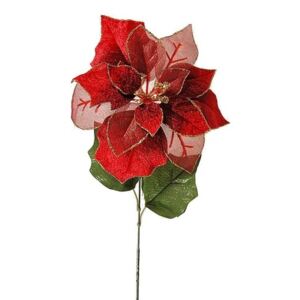 Róża bożonarodzeniowa czerwony, 55 cm