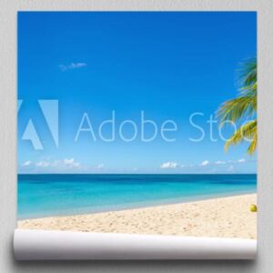 Fototapeta Niesamowita piaszczysta plaża z palmy kokosowej i błękitne niebo, Caribbe