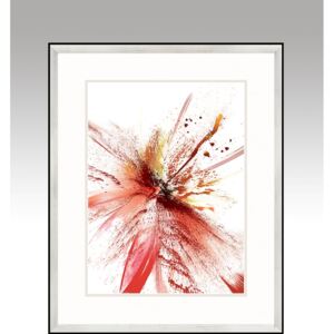 RED ME 2 - Nowoczesny obraz do salonu, barwny kwiat
