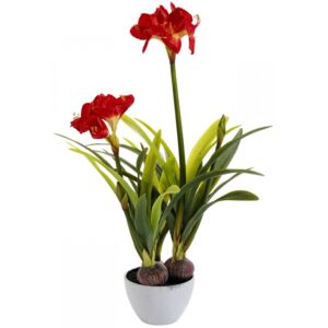 Roślina dekoracyjna Plant Amaryllis Red 97 cm