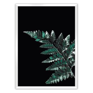 Plakat Dark Fern Leaf