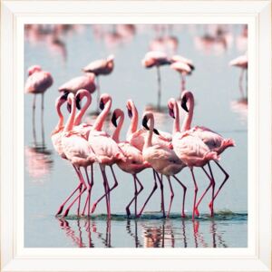 Oprawiony plakat Art Flamingo Flock