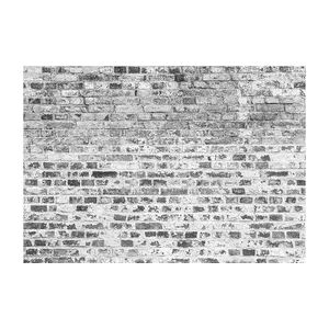 Fototapeta HD: Ściana z cegły, 100x70 cm