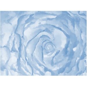 Fototapeta HD Niebieska róża, 250x193 cm