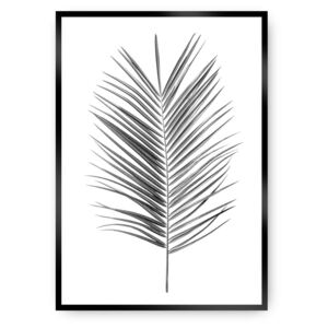 Plakat Palm Leaf Grey
