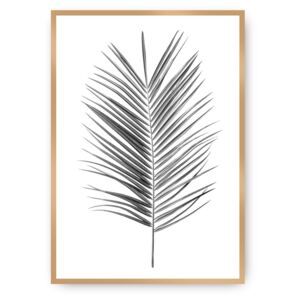 Plakat Palm Leaf Grey