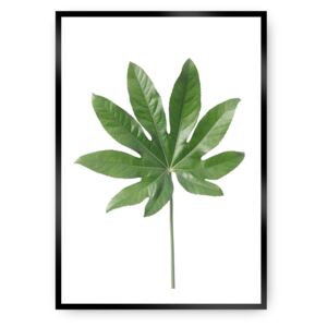 Plakat Leaf Green