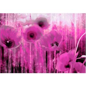 Fototapeta HD Malowane maki, róż, 100x70 cm