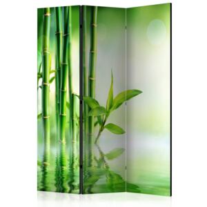 SELSEY Parawan 3-częściowy - Zielony bambus