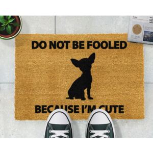 Wycieraczka Artsy Doormats Chihuahua, 40x60 cm