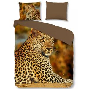 Good Morning Zestaw pościeli 5704-P Leopard, 240x200/220 cm, kolorowy