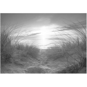 Fototapeta HD: Morze czarno-białe, 100x70 cm