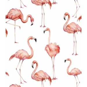 Tapeta Pink flamingo