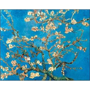 Reprodukcja Almond Blossom - The Blossoming Almond Tree 1890, Vincent van Gogh, (70 x 50 cm)