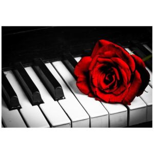 Fototapeta, Róża na fortepianie, 1 element, 200x135 cm