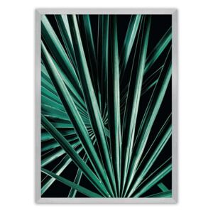 Plakat Dark Palm Tree