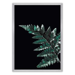 Plakat Dark Fern Leaf