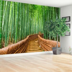 Fototapeta Bambusowy las